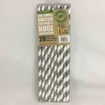 Party Paper Straws 8 Inches 20pcs Silver