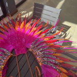 Feathers