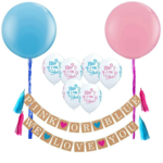 Gender Reveal