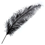 Premium Plumes 21-24 Inch Black