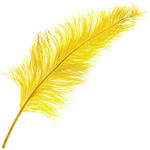 Premium Plumes 21-24 Inch Yellow
