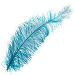 Premium Plumes 21-24 Inch Turquoise