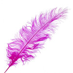 Premium Plumes 21-24 Inch Fuchsia