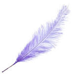 Premium Plumes 21-24 Inch Violet