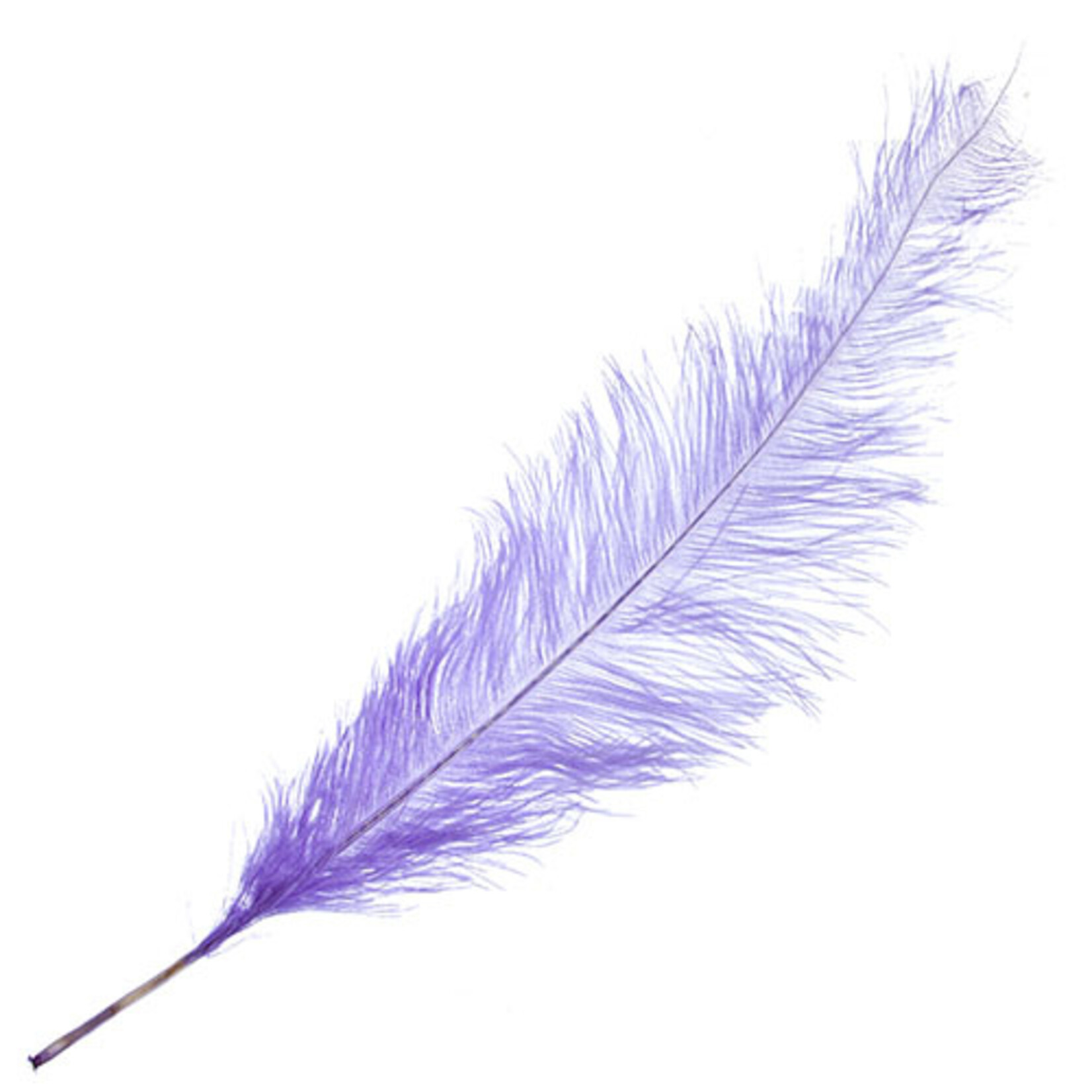 Premium Plumes 21-24 Inch Violet