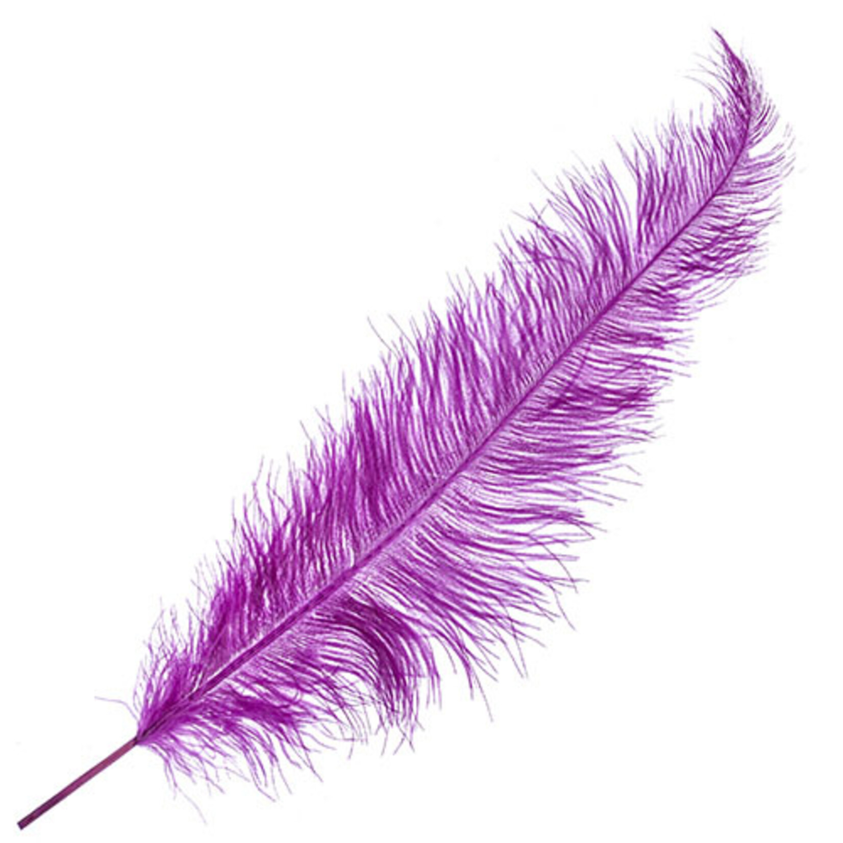 Premium Plumes 21-24 Inch Plum