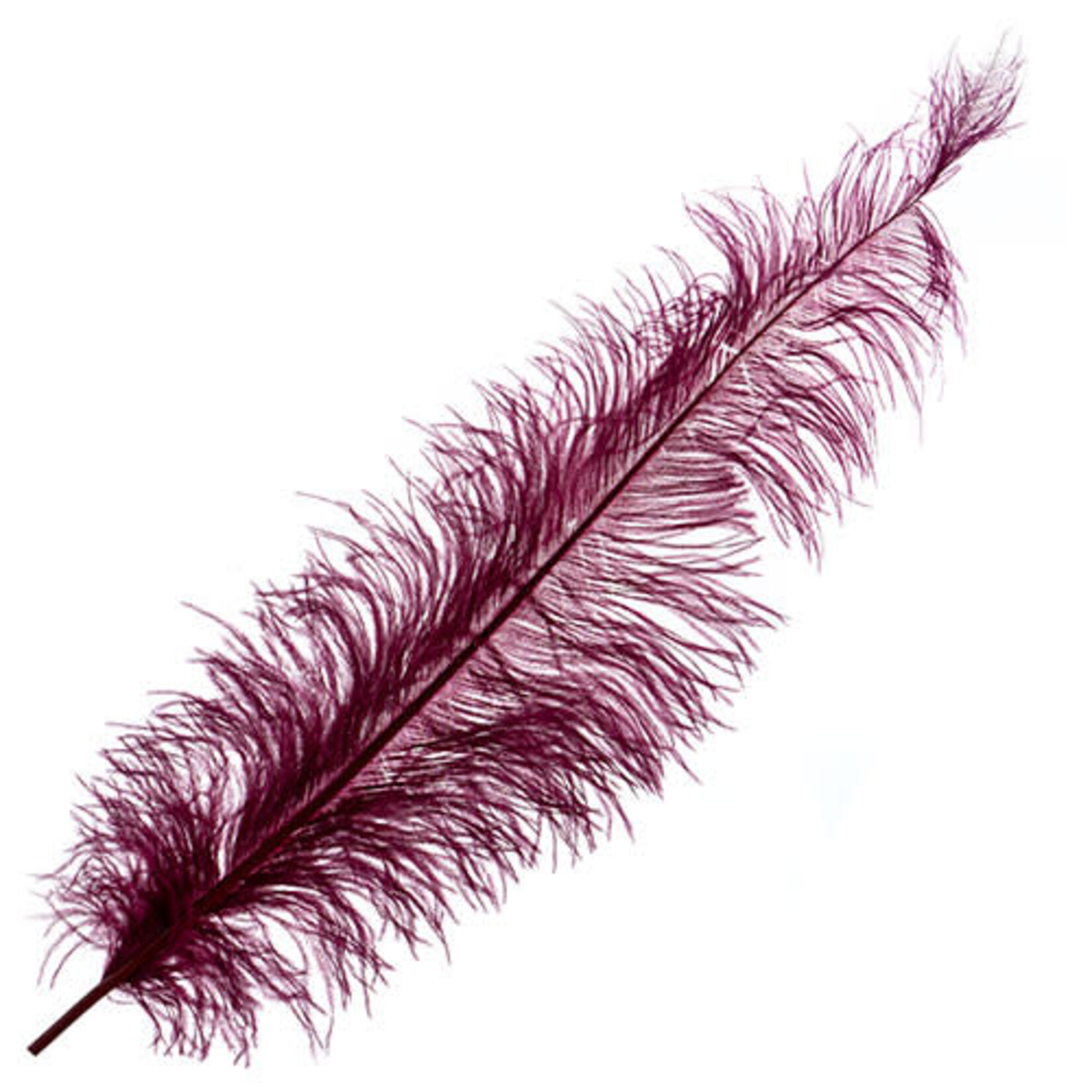 Premium Plumes 21-24 Inch Eggplant