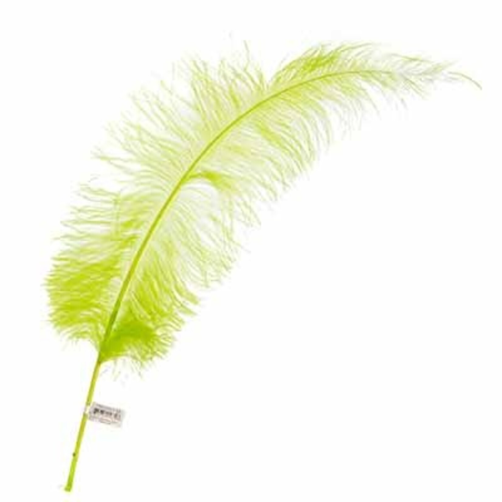 Premium Plumes 21-24 Inch Grass Green