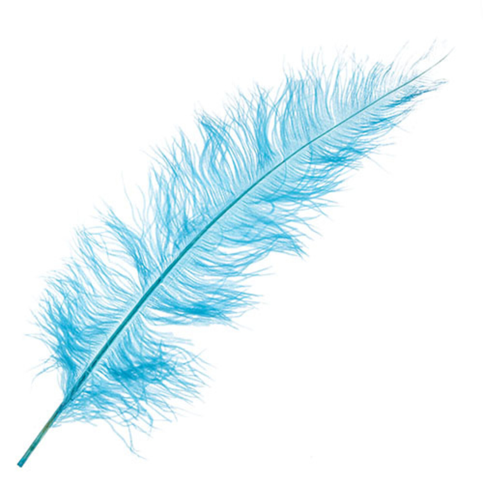 Premium Plumes 21-24 Inch Aqua Blue