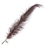 Premium Plumes 21-24 Inch Brown