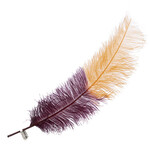 Premium Plumes 21-24 Inch Two Tone - Nappa Valley