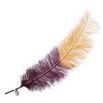 Premium Plumes 21-24 Inch Two Tone - Nappa Valley
