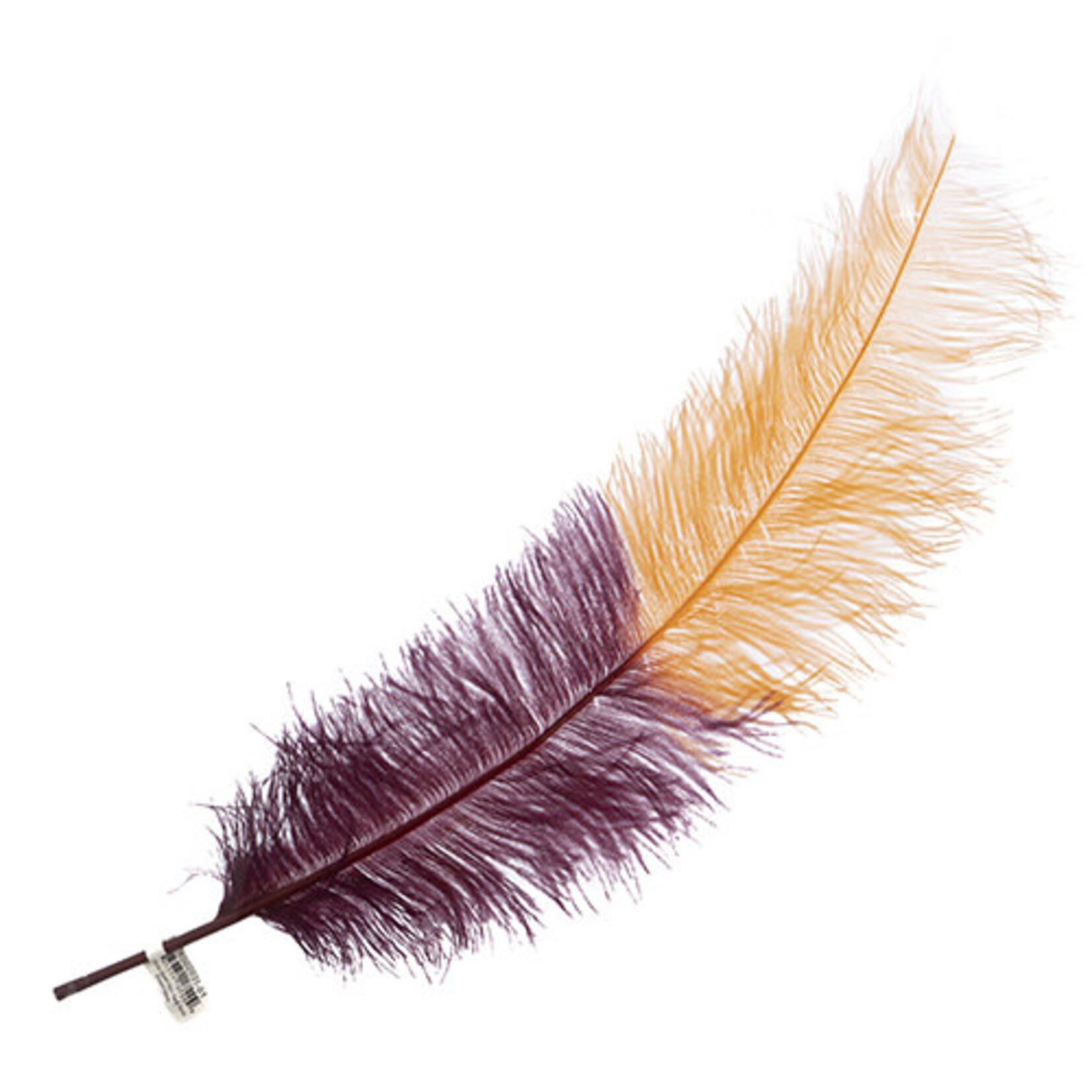 Premium Plumes 21-24 Inch Two Tone - Nappa Valley