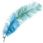 Premium Plumes 21-24 Inch Two Tone - PEI Shore