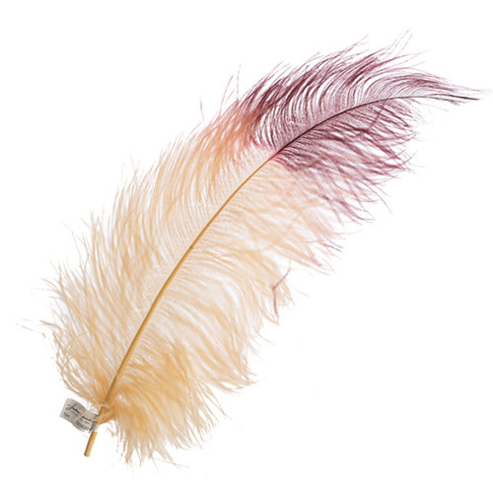 Premium Plumes 21-24 Inch Two Tone - L.A Vibe