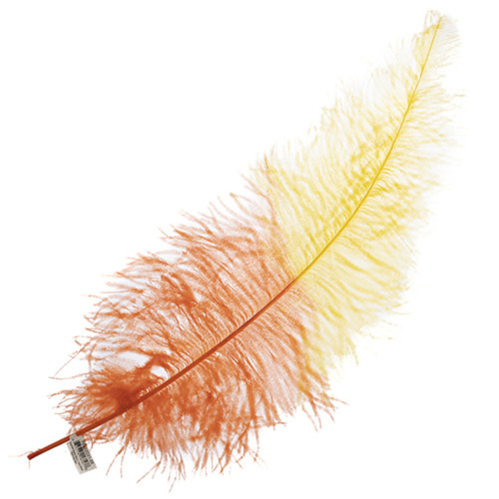 Premium Plumes 21-24 Inch Two Tone - Red Hot Rio