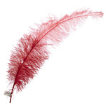 Premium Plumes 21-24 Inch Two Tone - Hawaiian Sunset