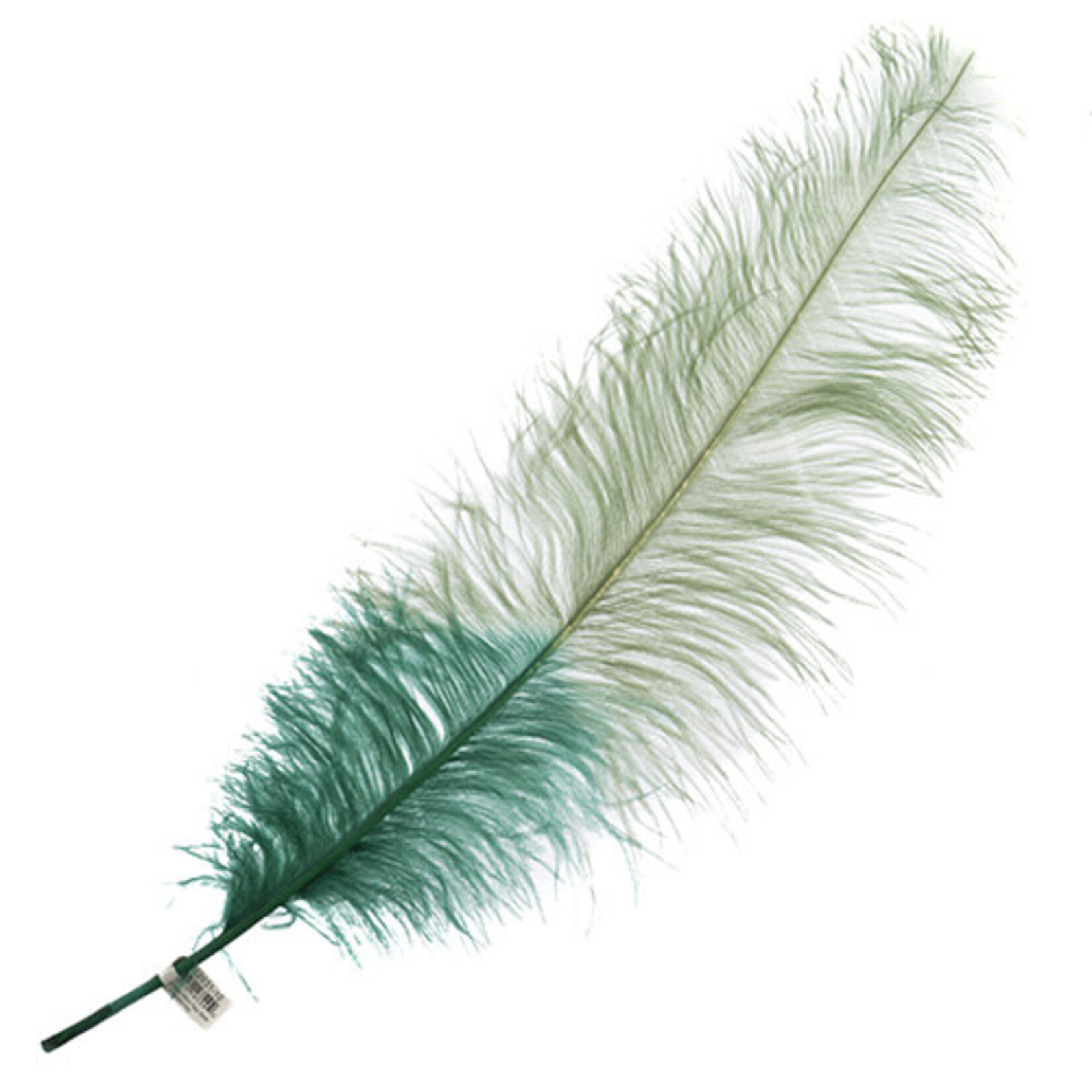 Premium Plumes 21-24 Inch Two Tone - Emerald City