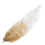 Premium Plumes 21-24 Inch Two Tone - Sahara Desert