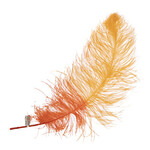 Premium Plumes 21-24 Inch Two Tone - Sunset