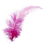 Premium Plumes 21-24 Inch Two Tone - Pretty In Pink