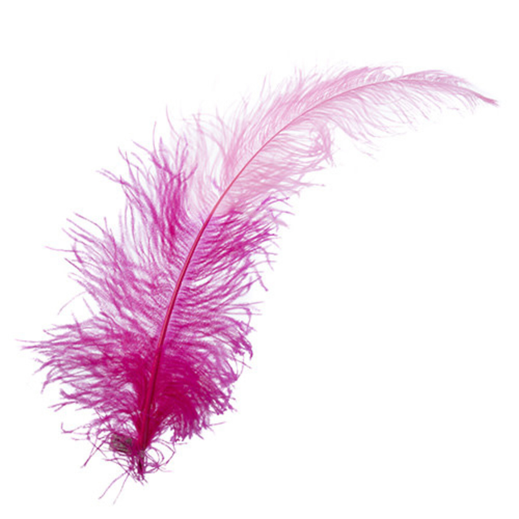 Premium Plumes 21-24 Inch Two Tone - Pretty In Pink