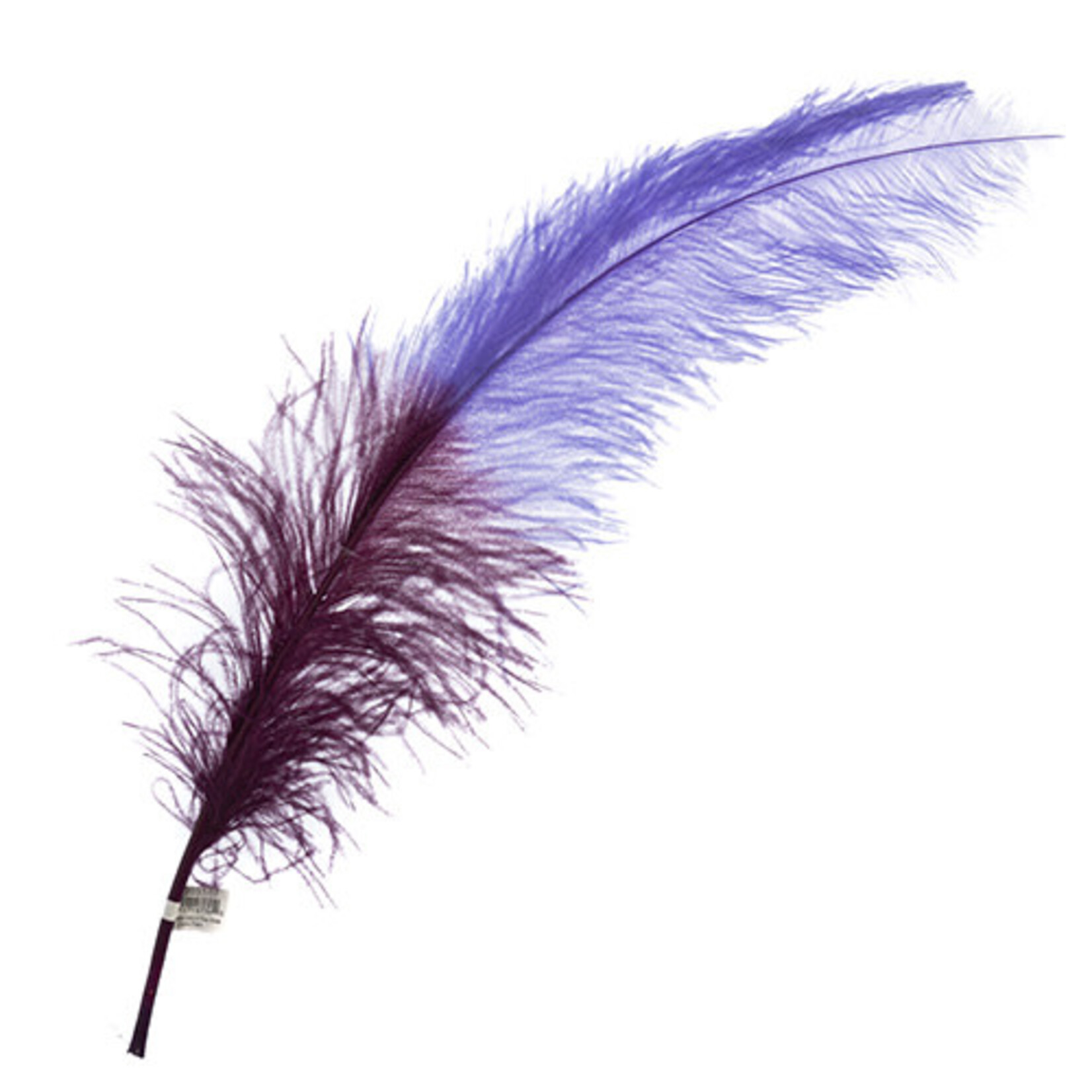 Premium Plumes 21-24 Inch Two Tone - Purple Flare