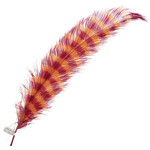 Premium Plume 21-24 Inch Striped - Coney Island
