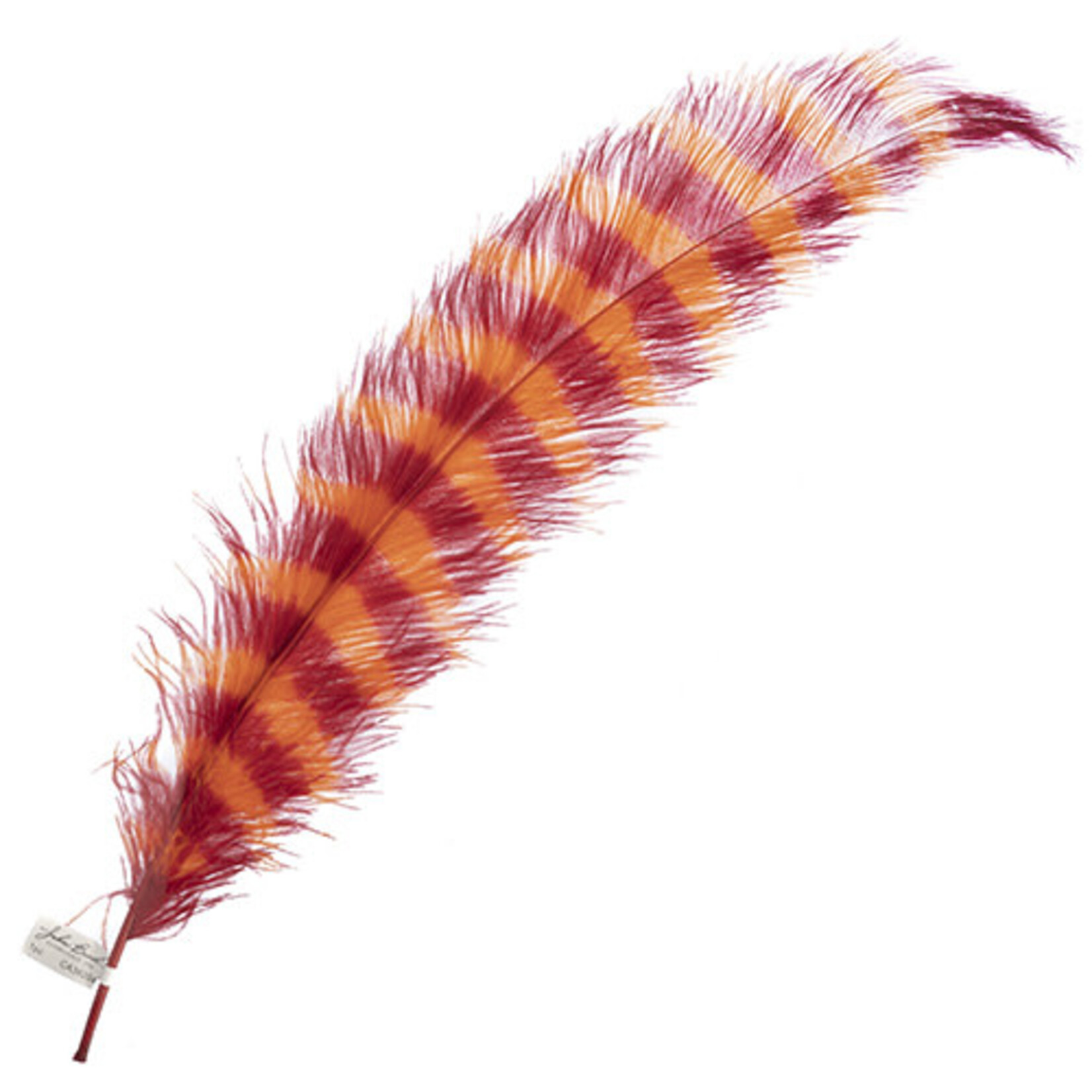 Premium Plume 21-24 Inch Striped - Coney Island