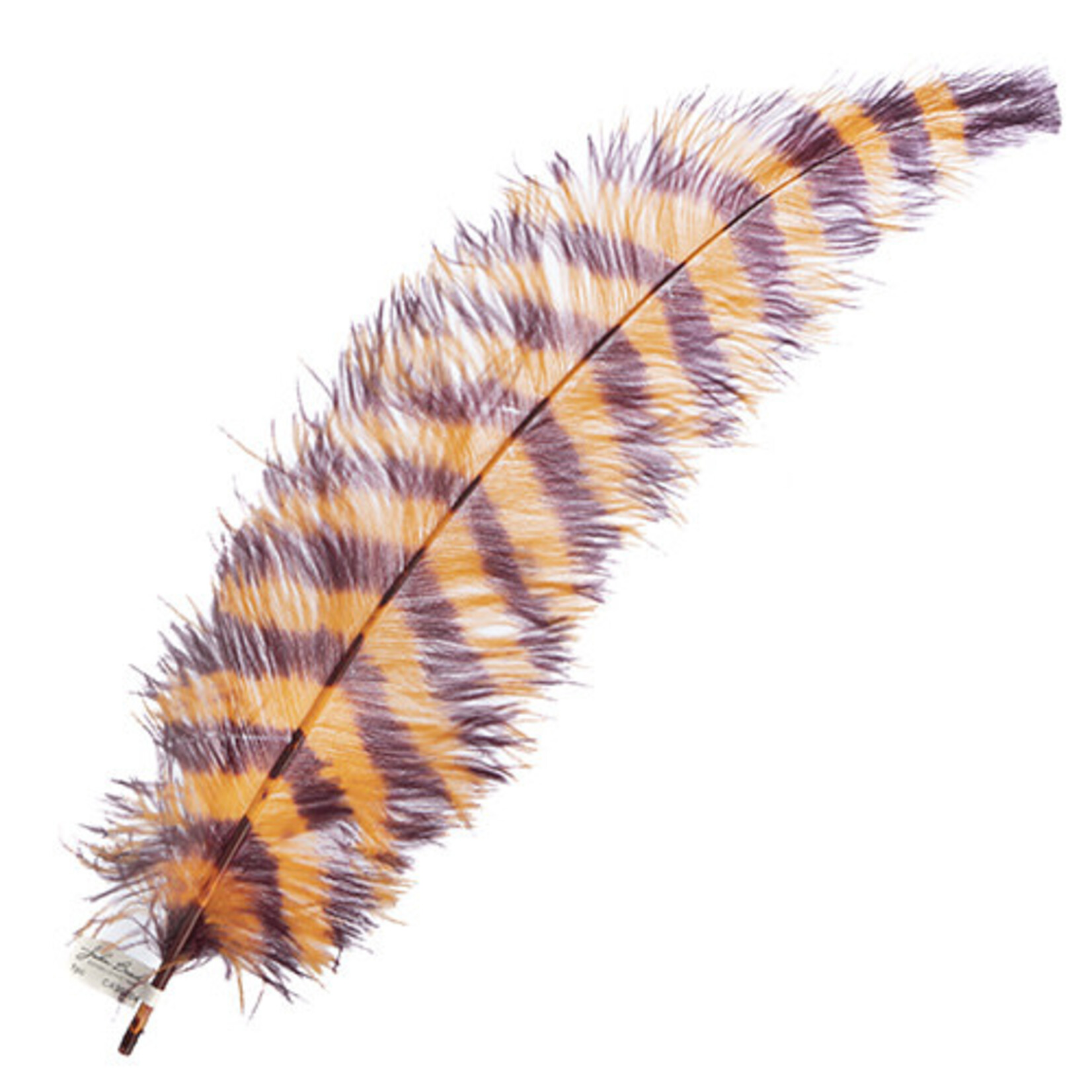 Premium Plumes 21-24 Inch Striped - Nappa Valley