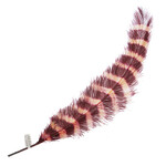 Premium Plumes 21-24 Inch Striped - L.A Vibe
