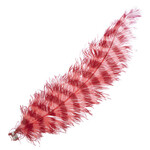 Premium Plumes 21-24 Inch Striped - Hawaiian Sunset