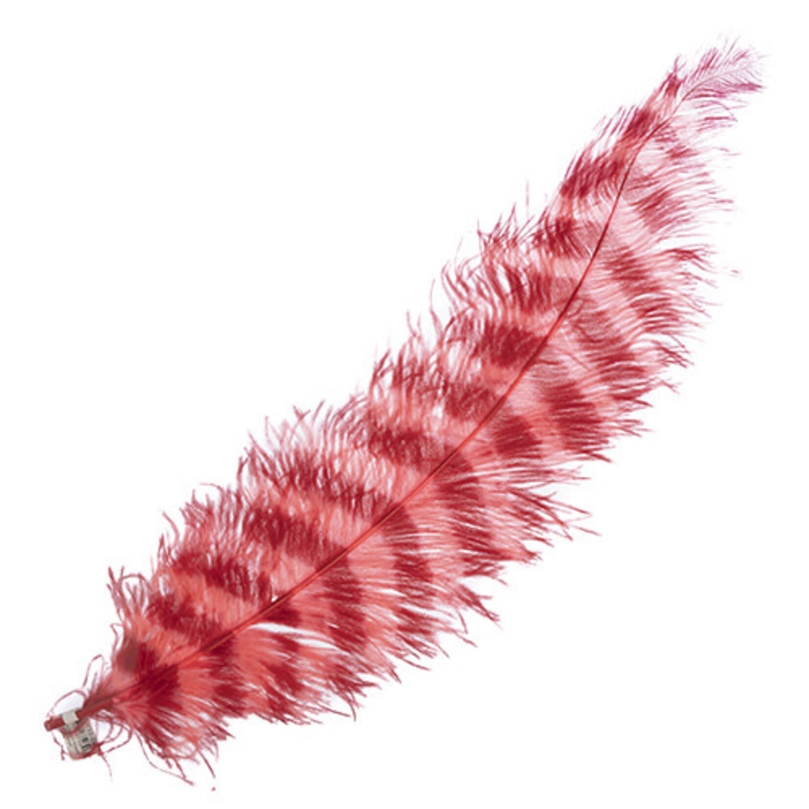 Premium Plumes 21-24 Inch Striped - Hawaiian Sunset