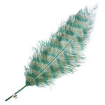 Premium Plumes 21-24 Inch Striped  - Emerald City