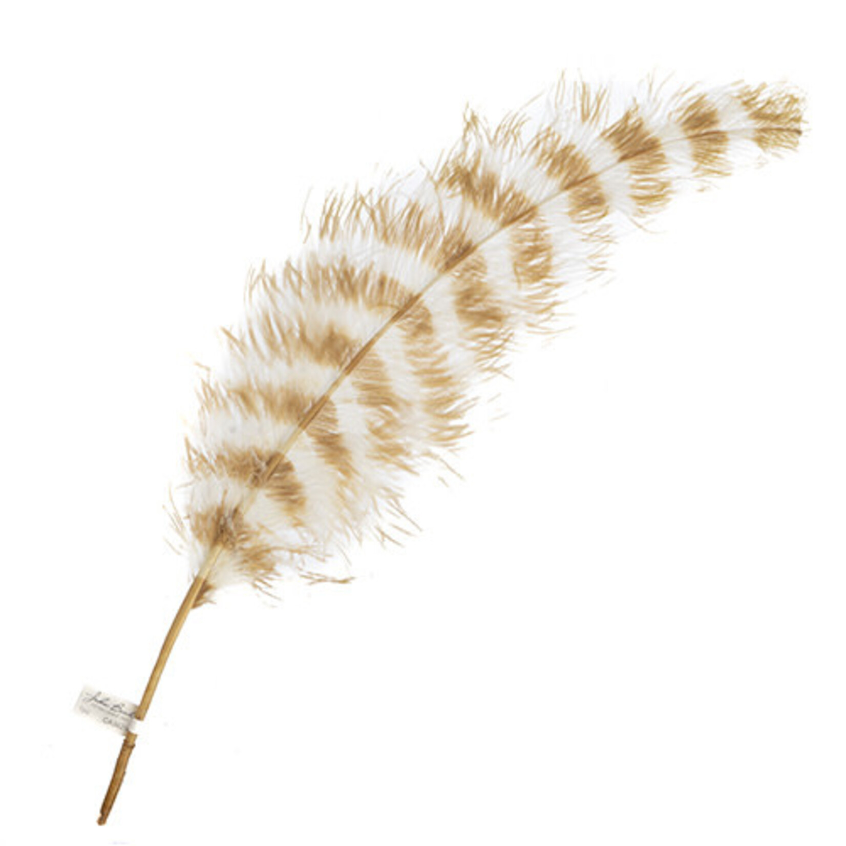 Premium Plumes 21-24 Inch Striped - Sahara Desert