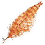 Premium Plumes 21-24 Inch Striped - Sunset