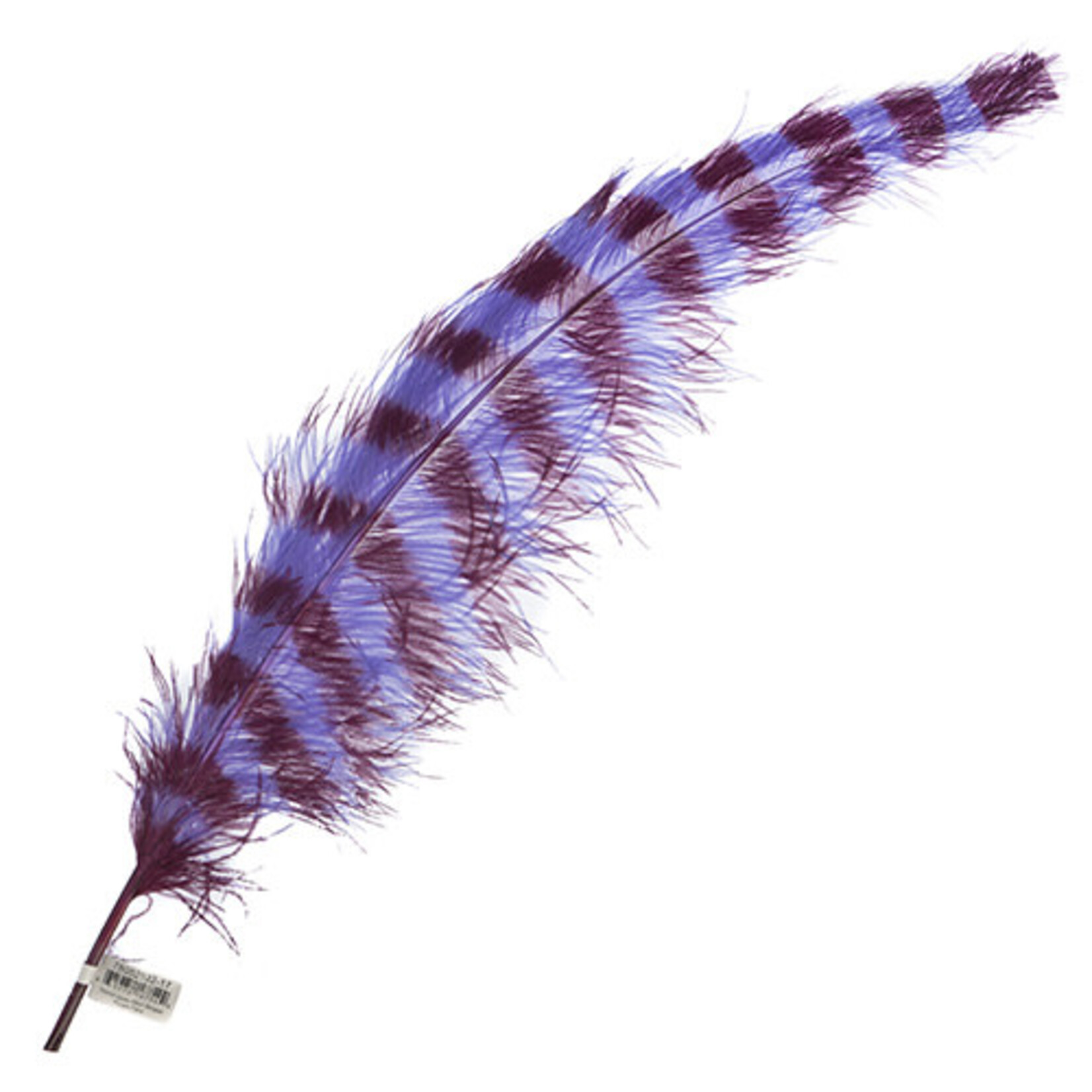 Premium Plumes 21-24 Inch Striped -  Purple Flare