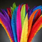 Nandu Feathers