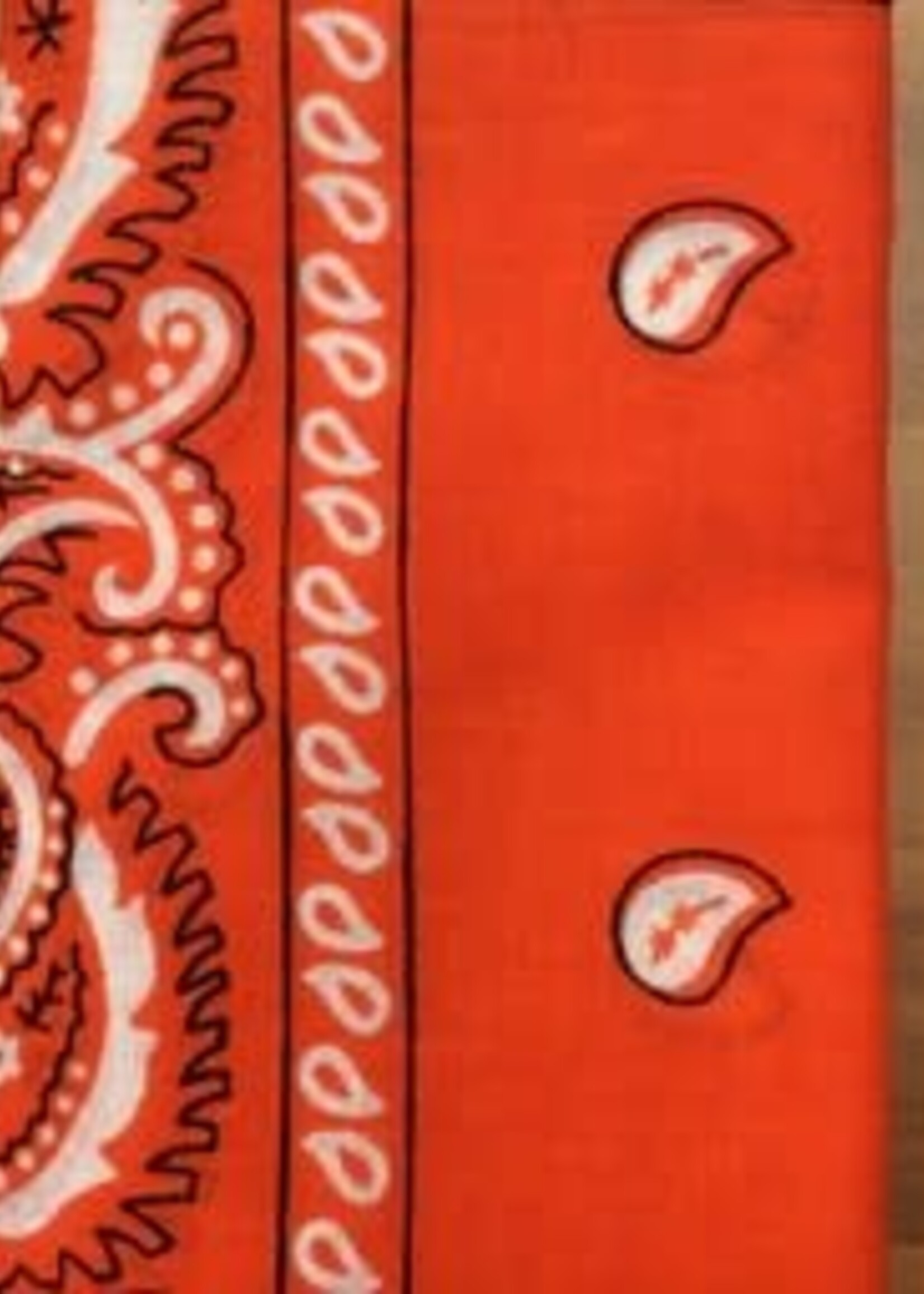 Bandana Paisley Patterned Orange