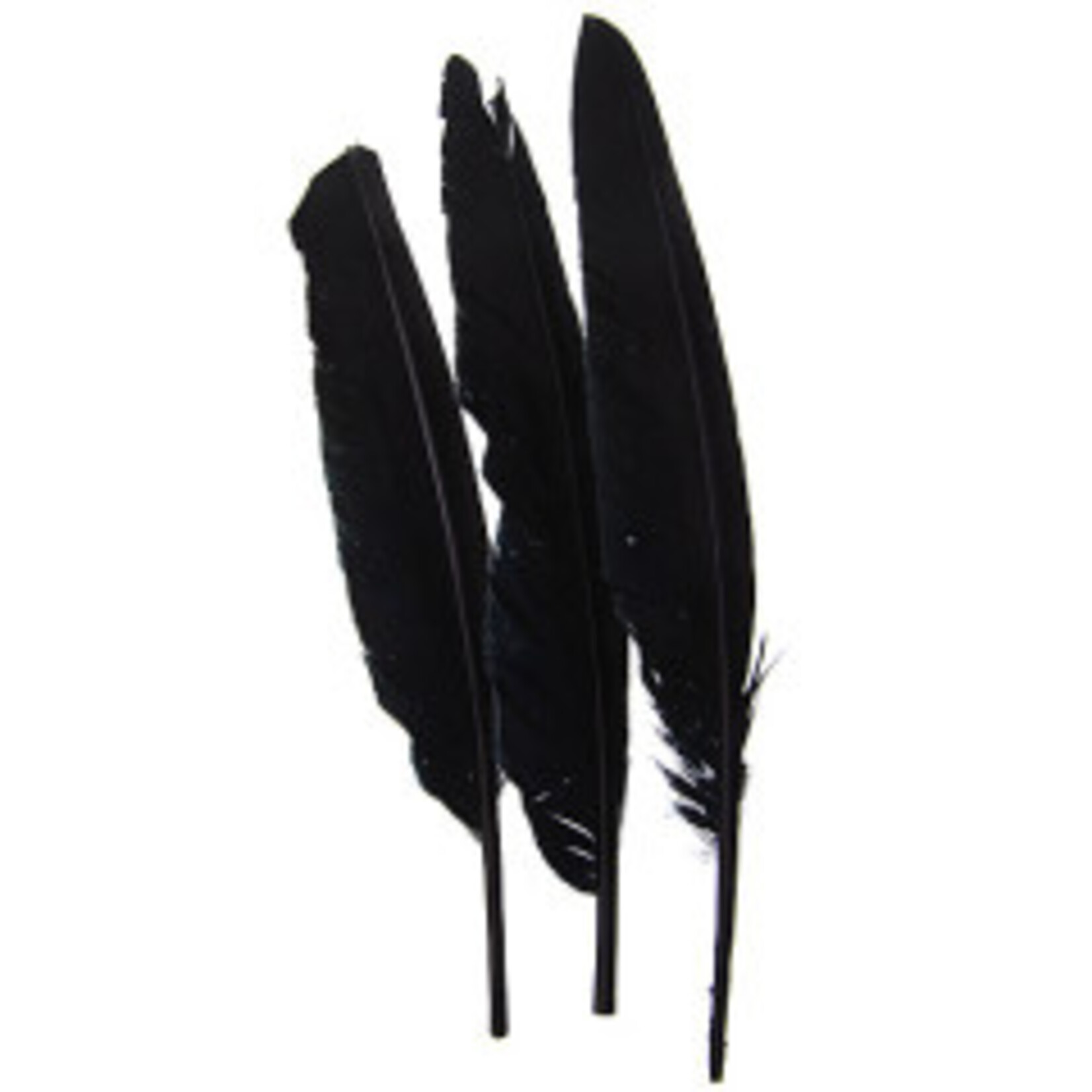 Duck Quill (12pcs) 7 Inch