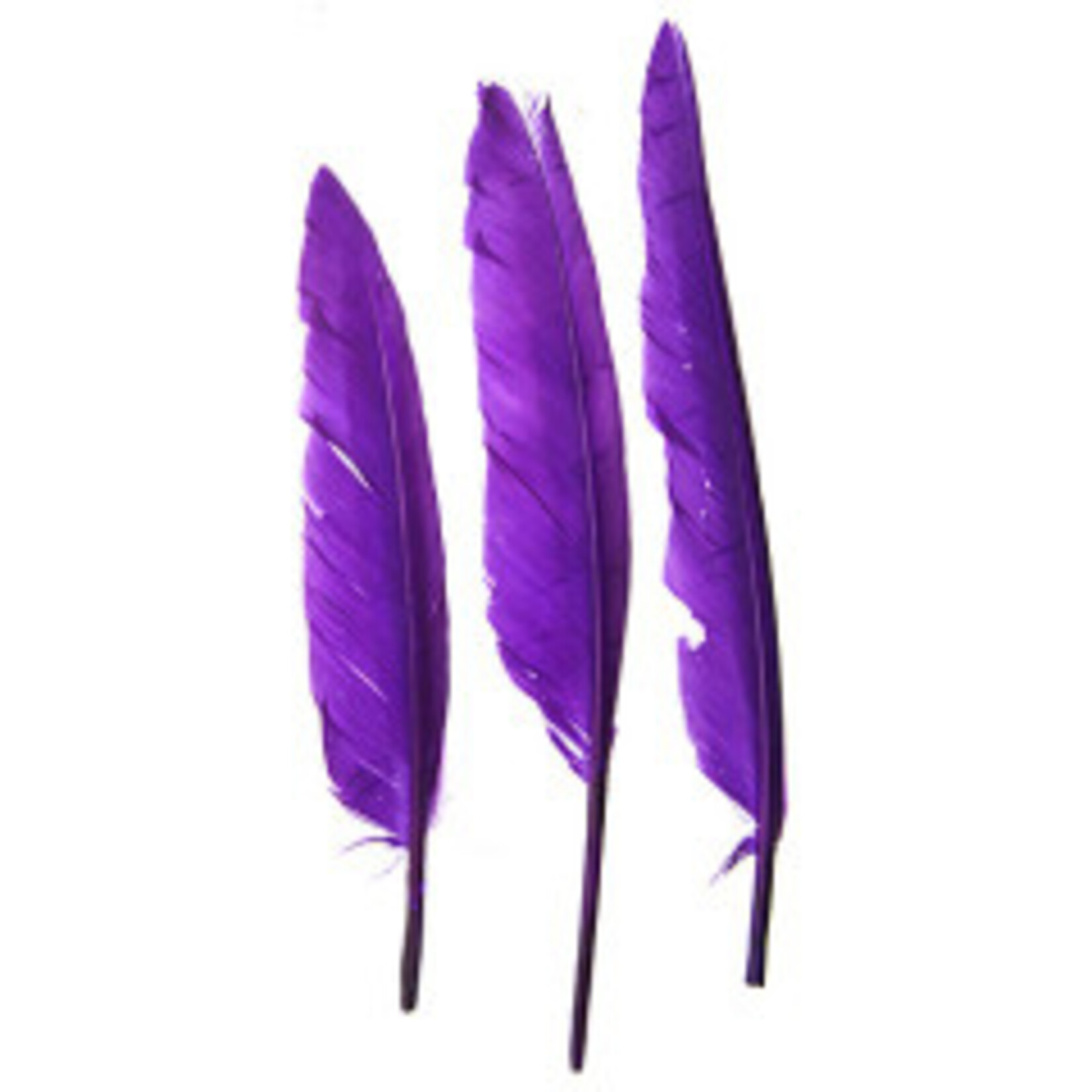 Duck Quill (12pcs) 7 Inch
