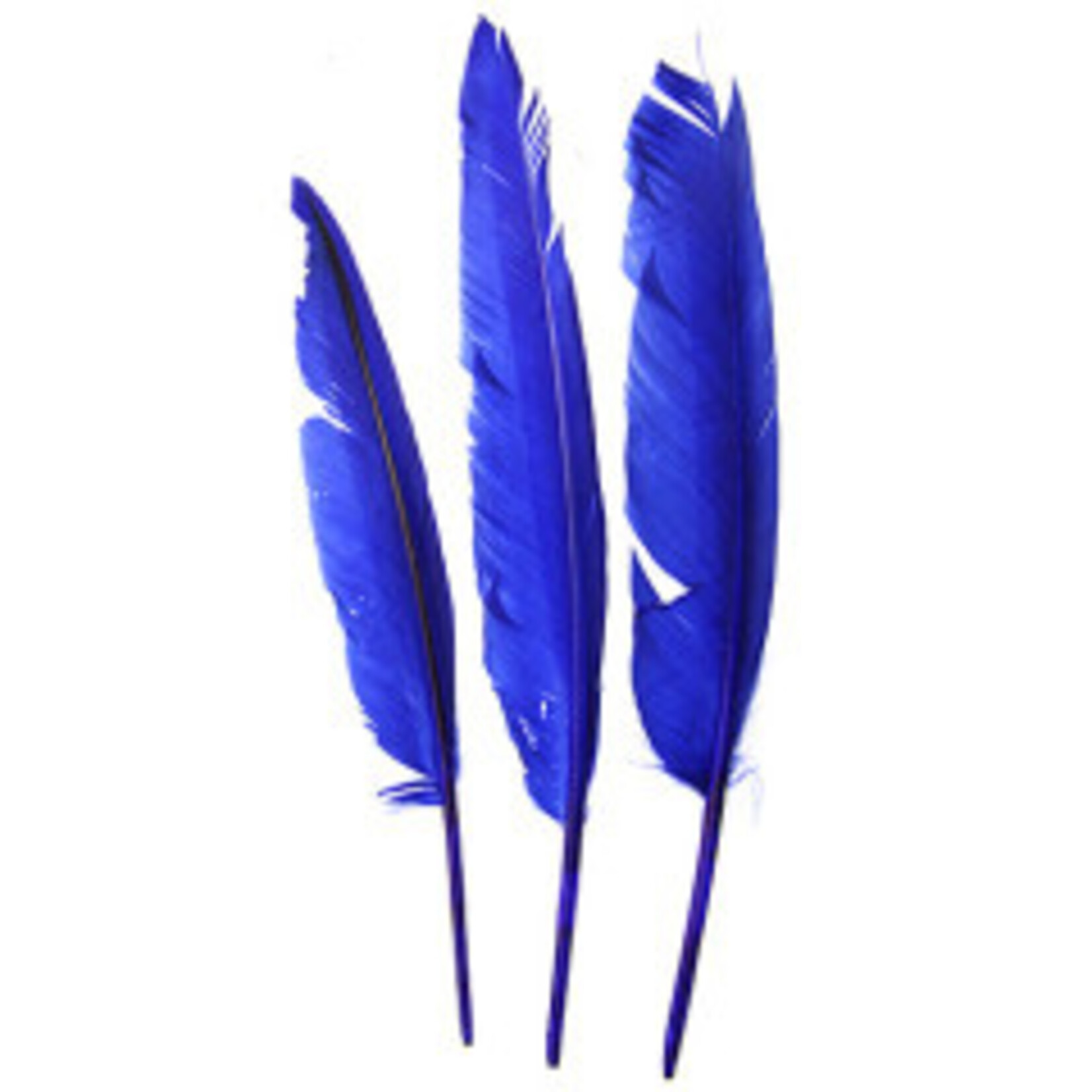 Duck Quill (12pcs) 7 Inch