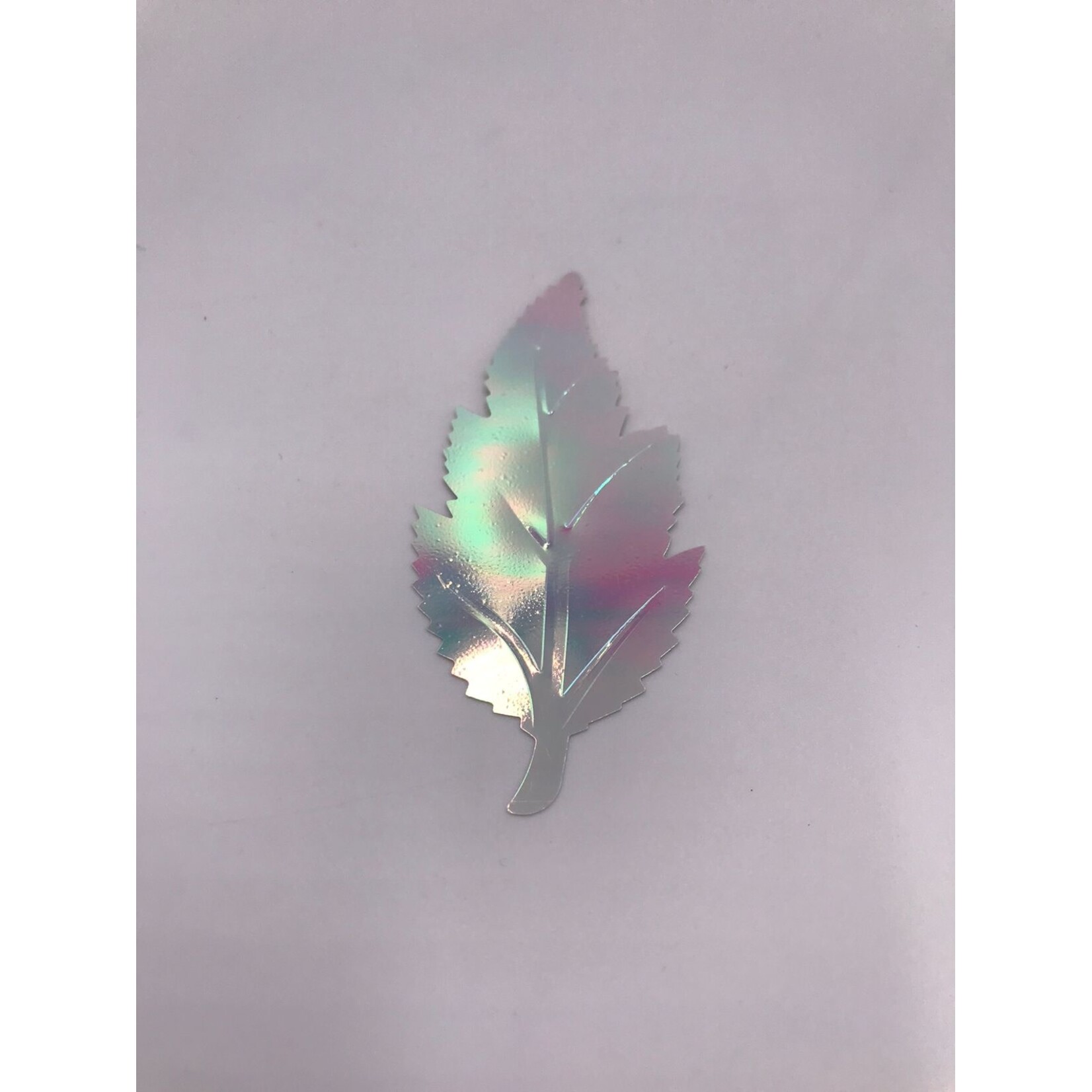 Leaves Assorted (12 Pieces)