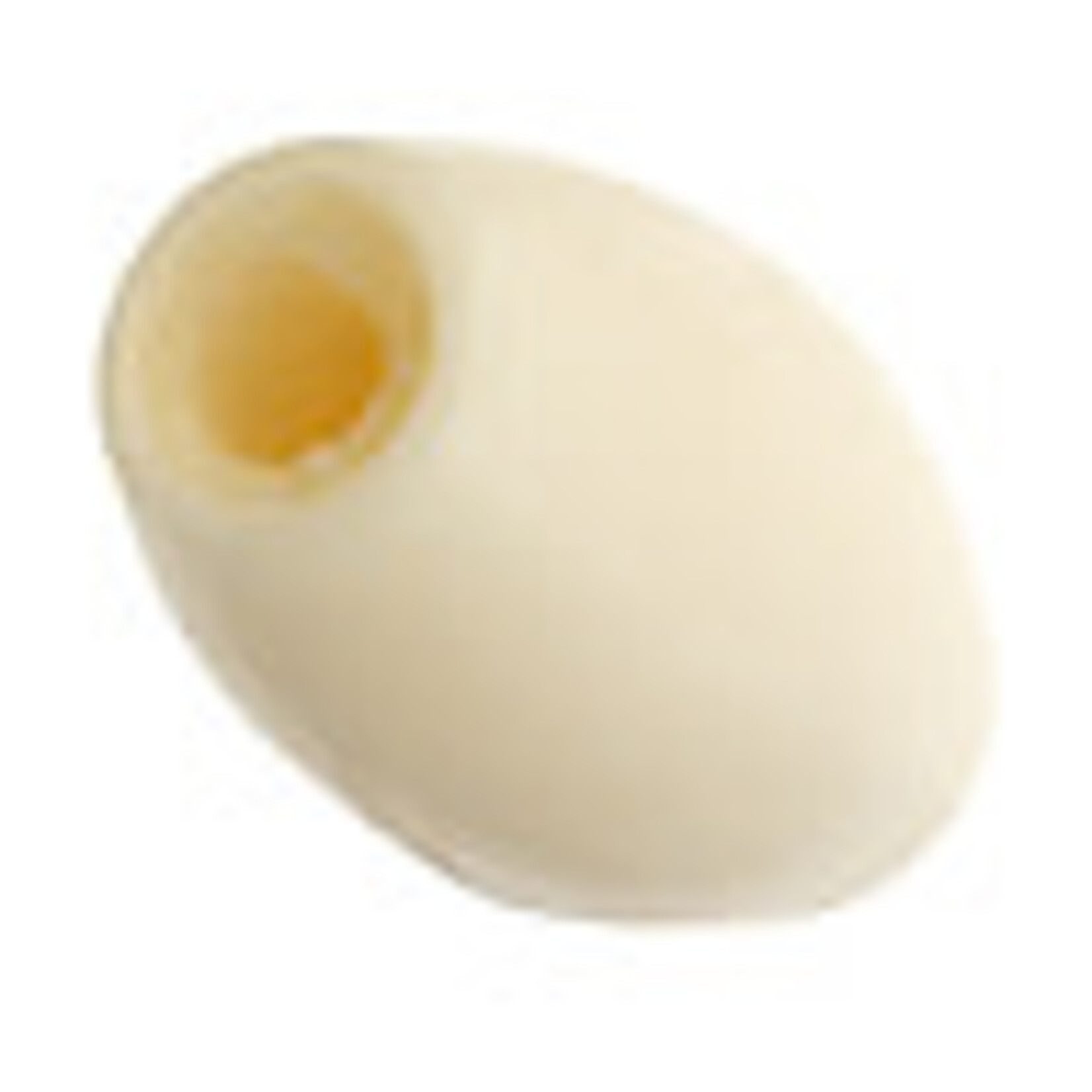 Hairbone Pipe  Worked on Bone  Ivory 0.5 Inches(12 pcs) Oval
