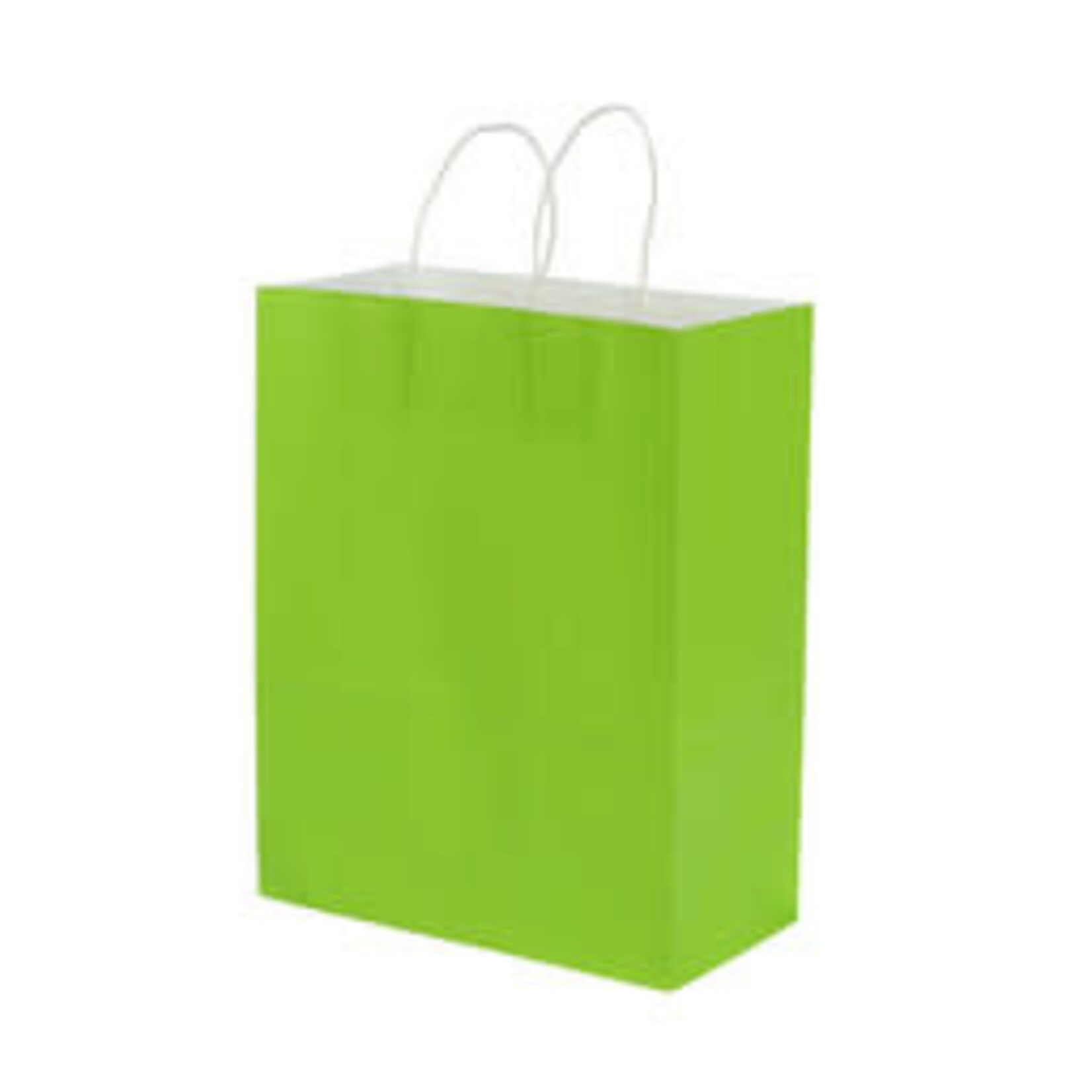 Kraft Favor Bags 6CT (6.5inx9in)