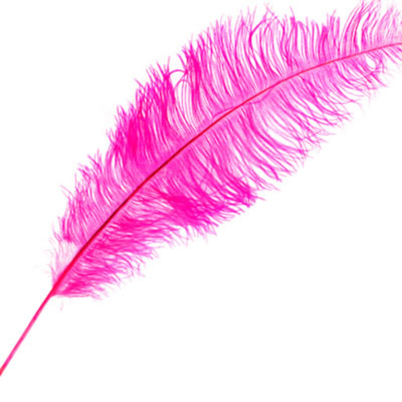 O.D Plumes 27-28 Inch Fuschia