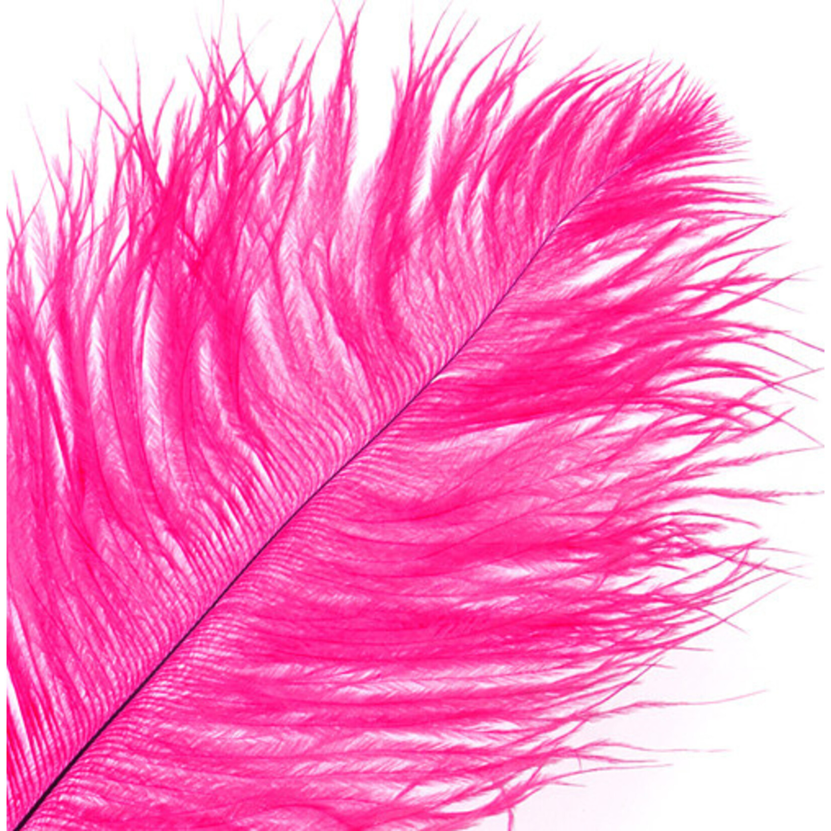 O.D Plumes 14-16 Inch Hot Pink
