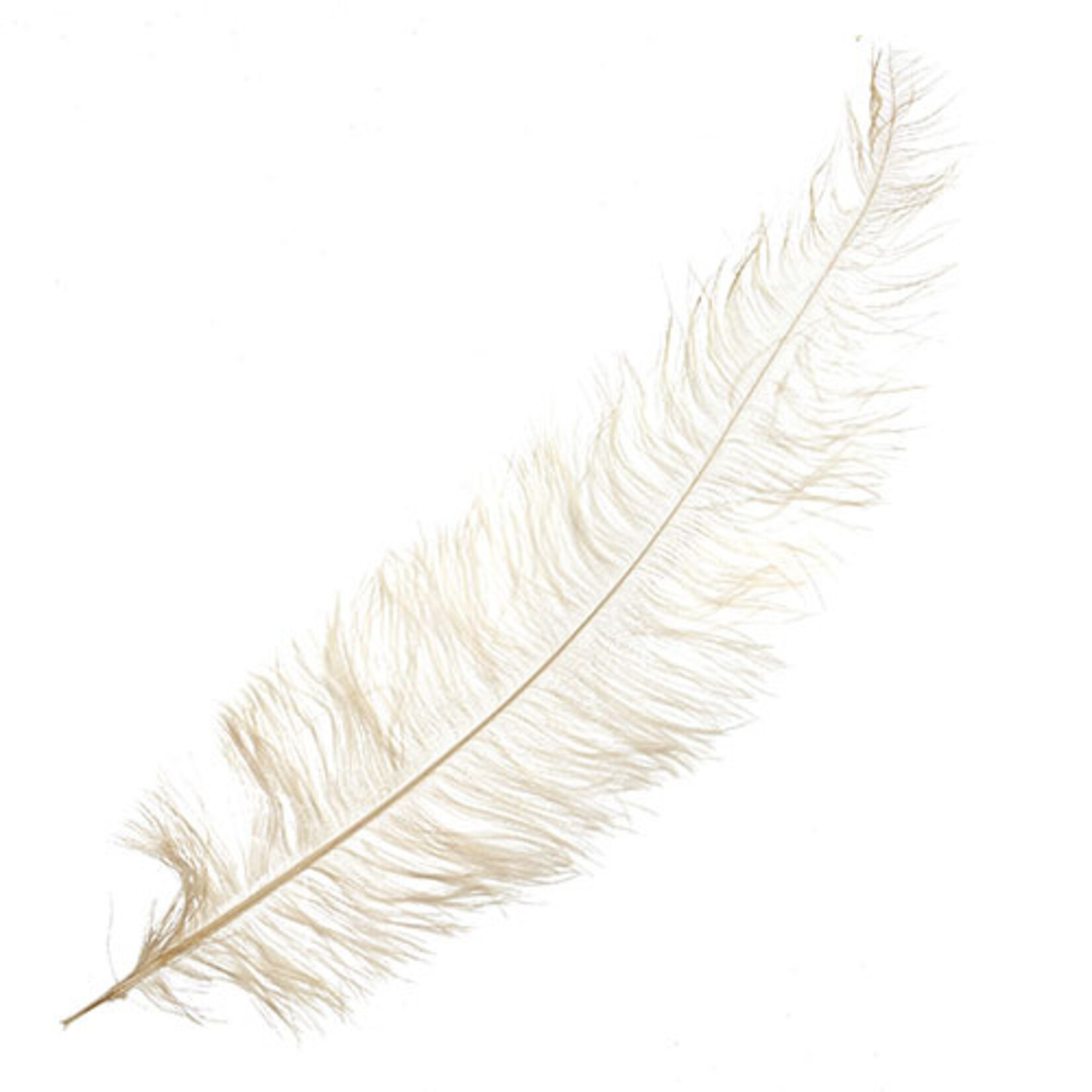 O.D Plumes 27-28 Inch Beige