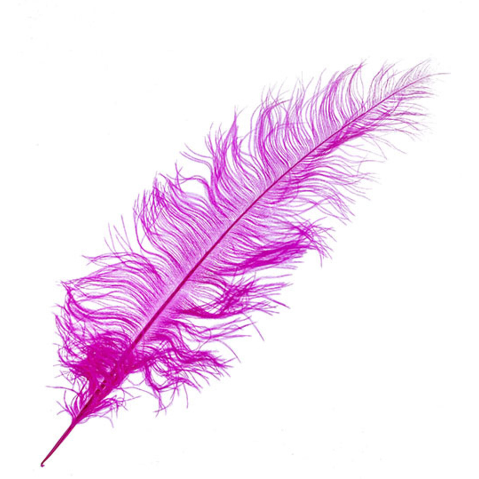 O.D Plumes 27-28 Inch Fuschia