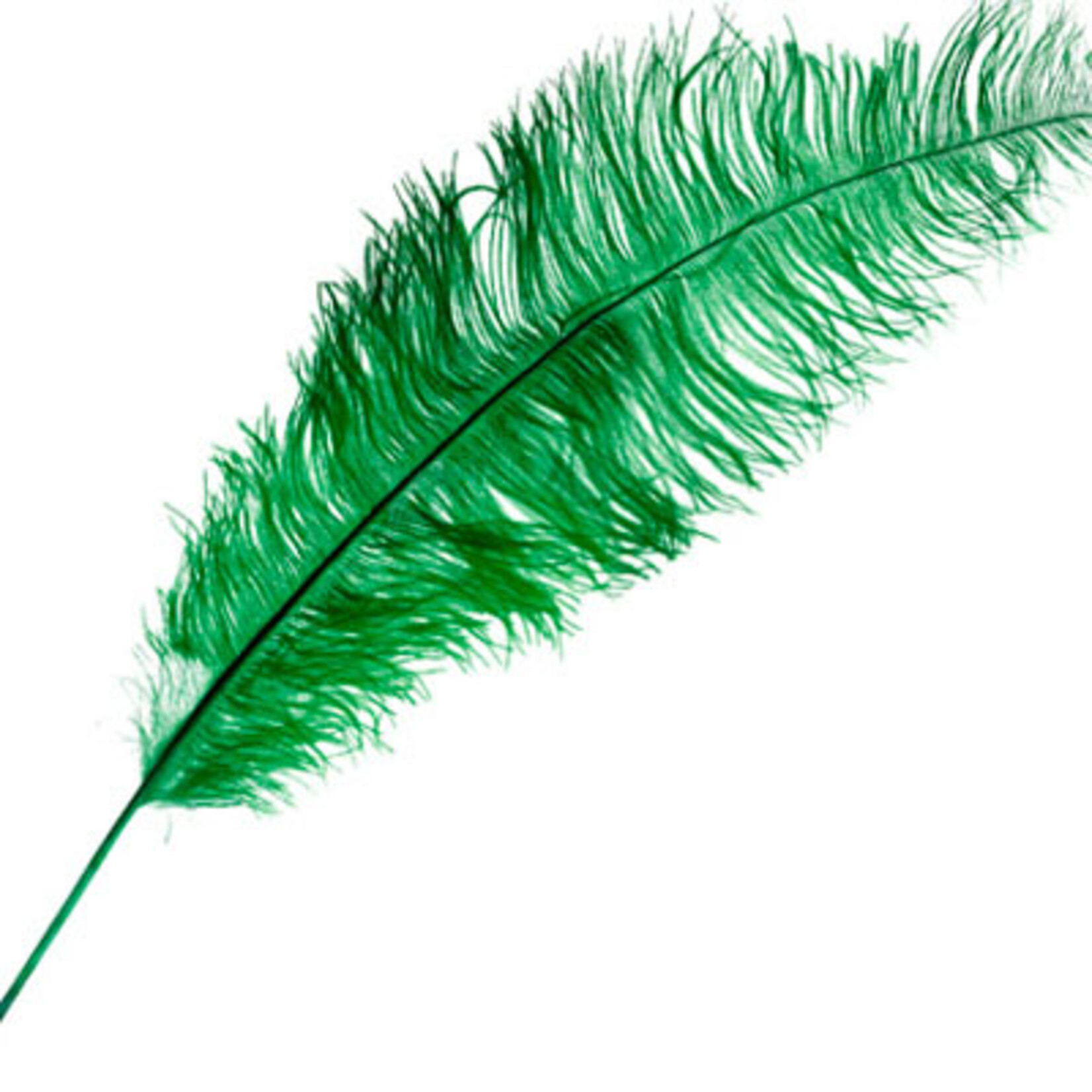 O.D Plumes 27-28 Inch Emerald Green